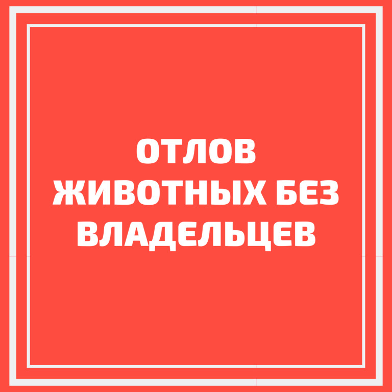 Внимание! Отлов безнадзорных собак!.